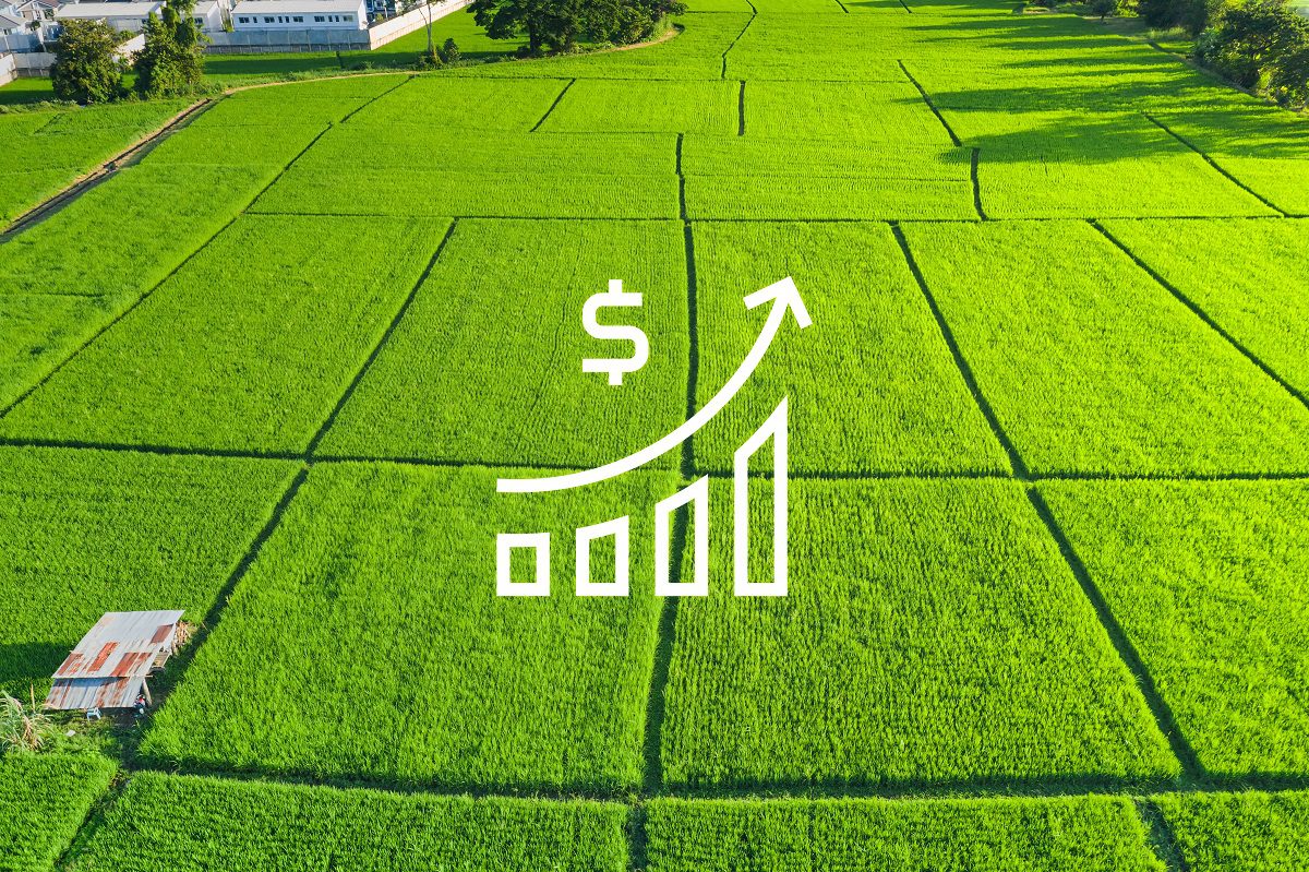 Escape To The Country: Financing Your Rural Property Purchase Escape To The Country: Financing Your Rural Property Purchase