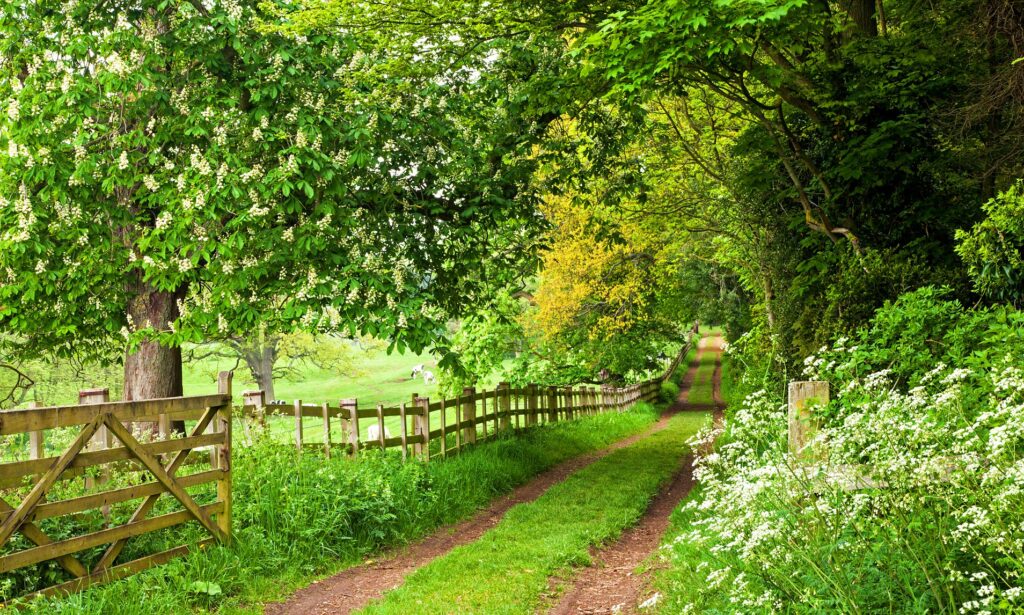 Escape To The Countryside: A Comprehensive Guide To Rural Living Escape To The Countryside: A Comprehensive Guide To Rural Living