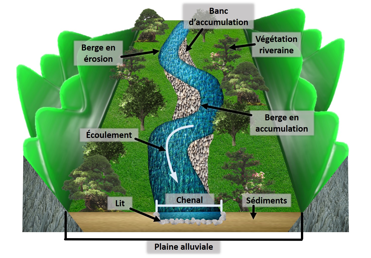 Étude De L'ingénierie Castor Dans Deux Cours D'eau De La Drôme Étude De L'ingénierie Castor Dans Deux Cours D'eau De La Drôme