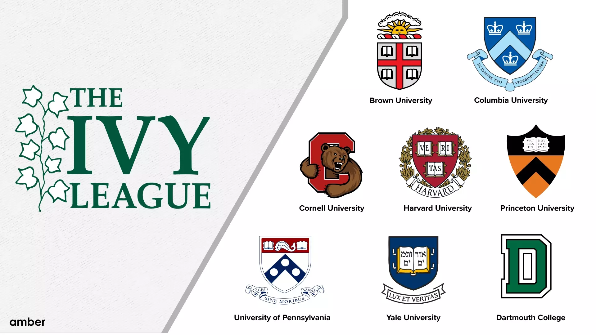 Exclusive: Ivy League Schools Create Private Alliance Against Trump Agenda Exclusive: Ivy League Schools Create Private Alliance Against Trump Agenda