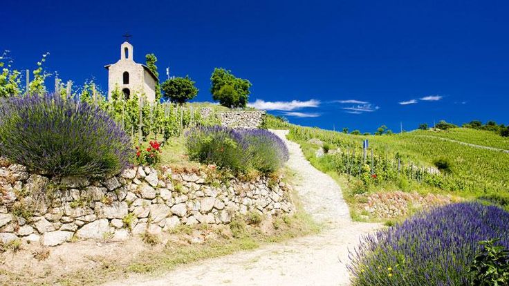 Explore Provence: A Walking Journey From Mountains To Mediterranean Explore Provence: A Walking Journey From Mountains To Mediterranean