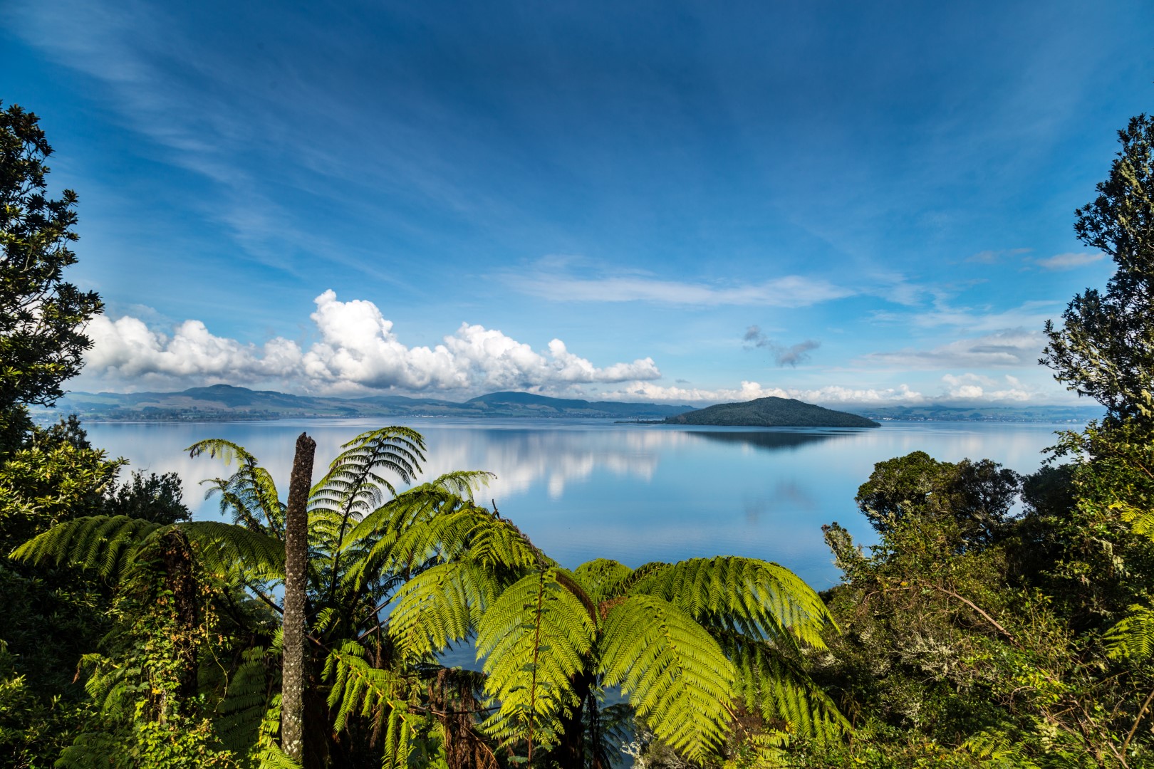 Exploring Rotorua: The Heart Of New Zealand's Culture And Geothermal Wonders Exploring Rotorua: The Heart Of New Zealand's Culture And Geothermal Wonders