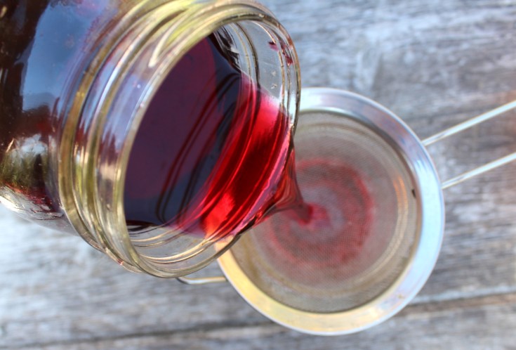 Exploring The Richness Of Cassis Blackcurrant Liqueur Exploring The Richness Of Cassis Blackcurrant Liqueur