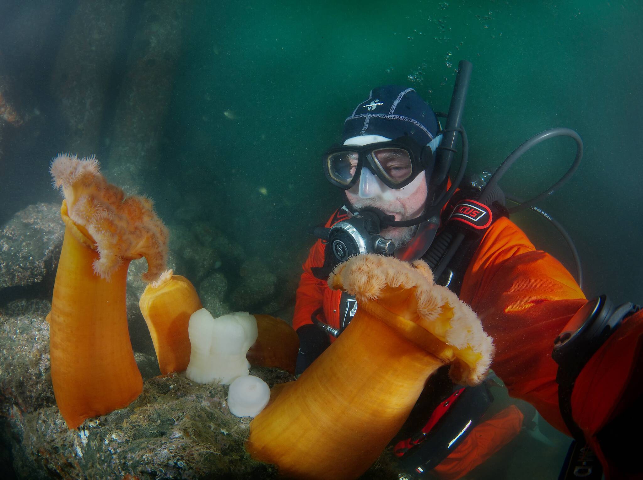 Exploring Whidbey Clams: A Citizen Science Approach