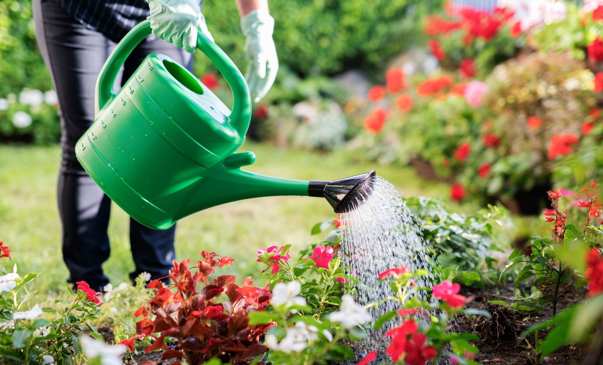 Filtration De L'eau Du Robinet : Avantages, Inconvénients Et Solutions. Filtration De L'eau Du Robinet : Avantages, Inconvénients Et Solutions.