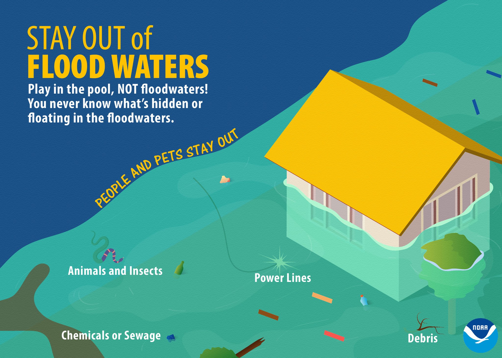 Flash Flood Emergency: Causes, Effects, And Prevention Flash Flood Emergency: Causes, Effects, And Prevention