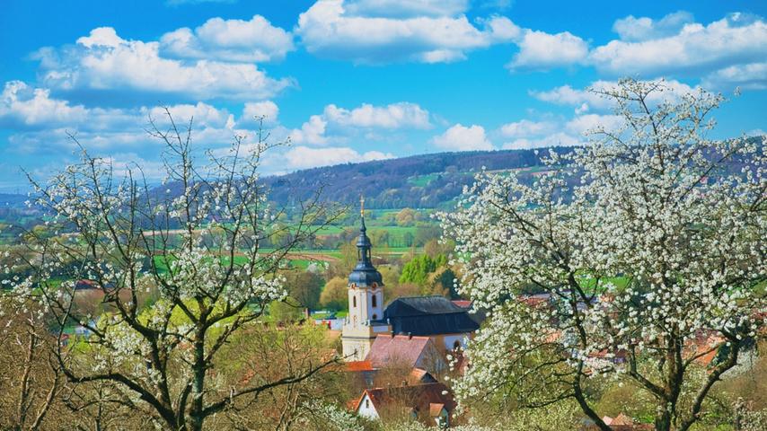 Fränkische Schweiz: Kirschblüte In Pretzfeld Steht Bevor – Termine Und Tipps Fränkische Schweiz: Kirschblüte In Pretzfeld Steht Bevor – Termine Und Tipps