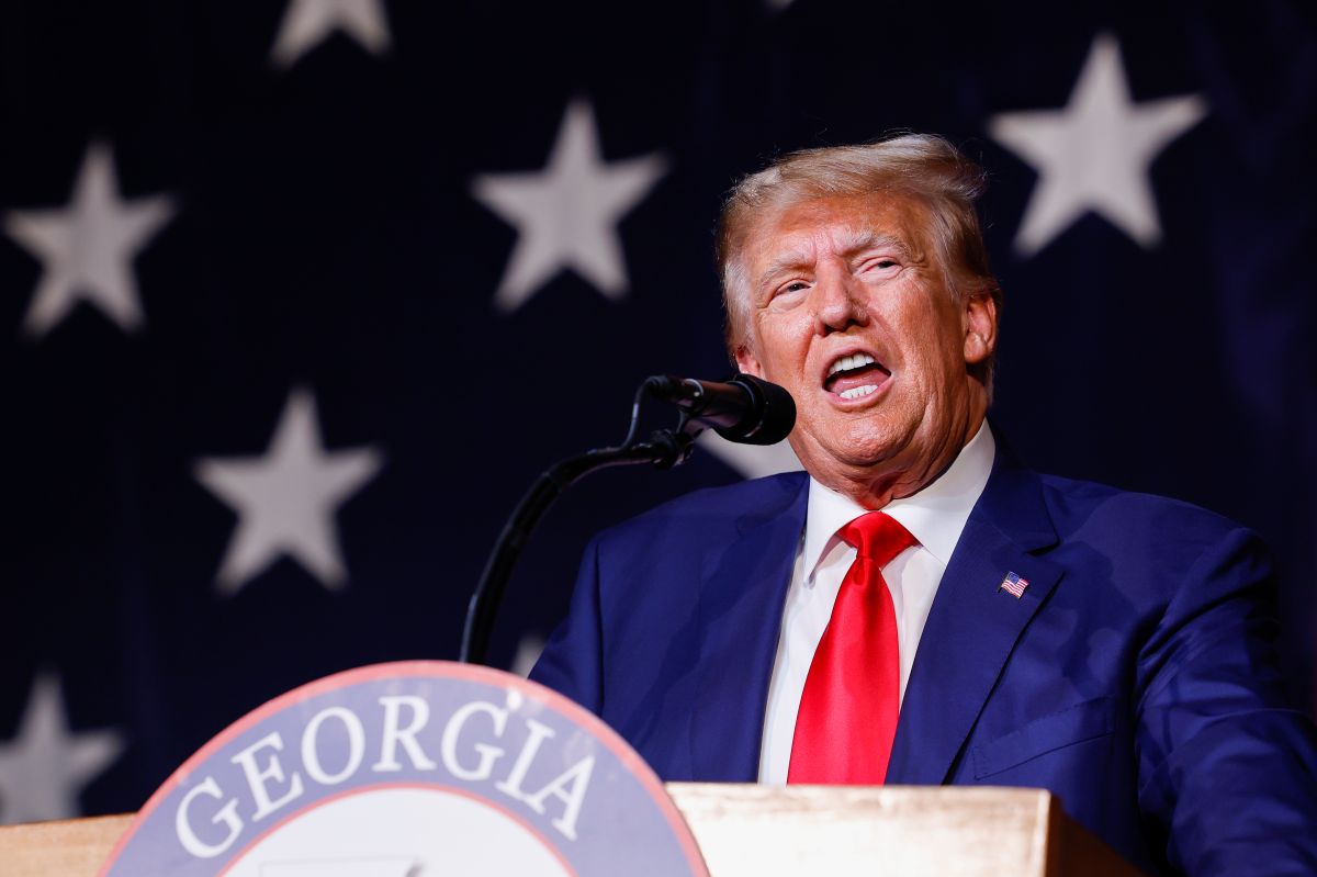 From Fiction To Fact: Examining Trump's Remarks On Egg Prices From Fiction To Fact: Examining Trump's Remarks On Egg Prices