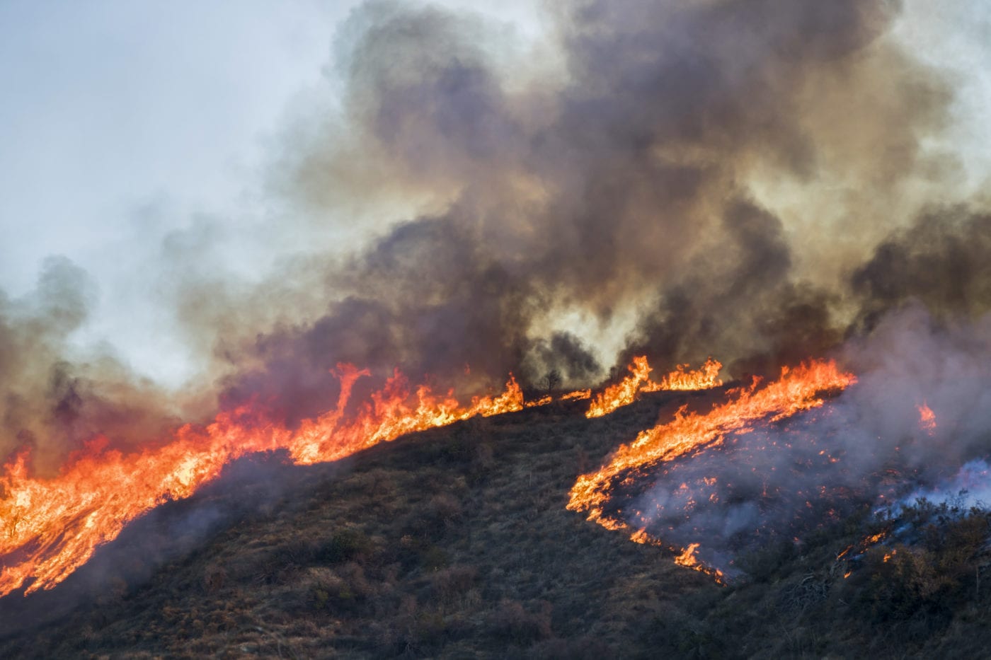 Gambling On Natural Disasters: The LA Wildfire Case Study Gambling On Natural Disasters: The LA Wildfire Case Study