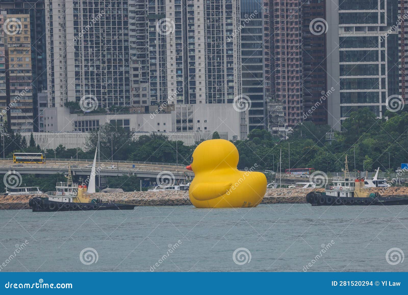 Giant Rubber Duck Brings Important Message To Myrtle Beach Giant Rubber Duck Brings Important Message To Myrtle Beach