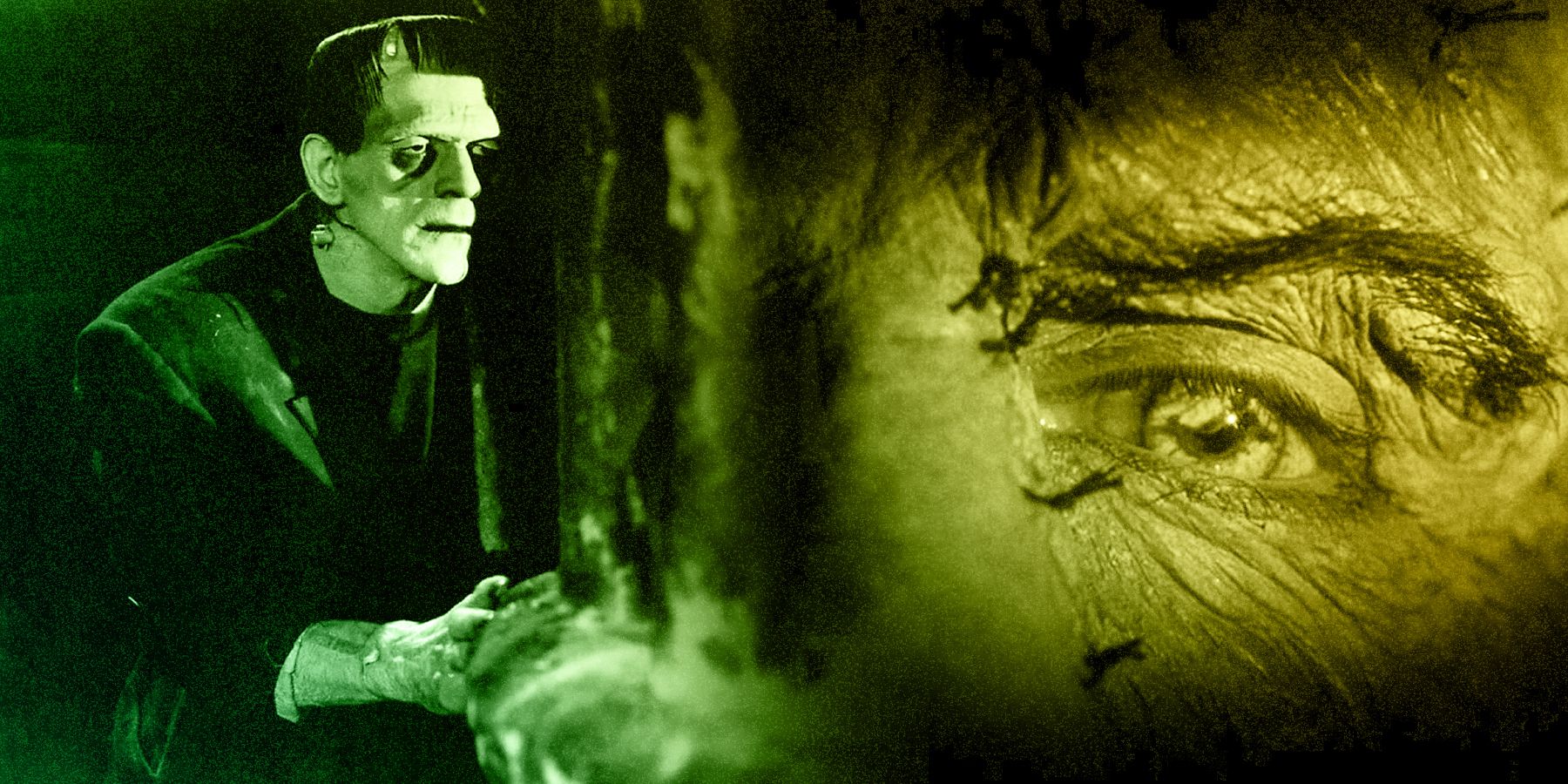 Guillermo Del Toro's Frankenstein: A Horror Film? The Director's Verdict Guillermo Del Toro's Frankenstein: A Horror Film? The Director's Verdict