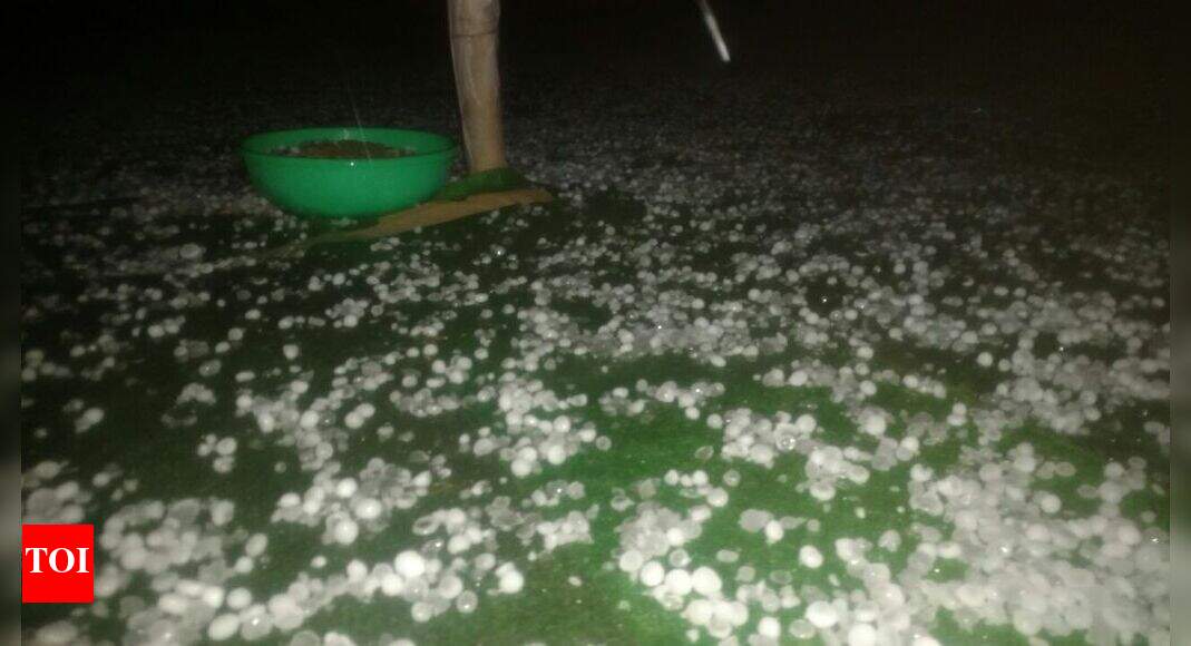 Hailstorms Damage Summer Landscapes: Pools And Gardens Impacted Hailstorms Damage Summer Landscapes: Pools And Gardens Impacted