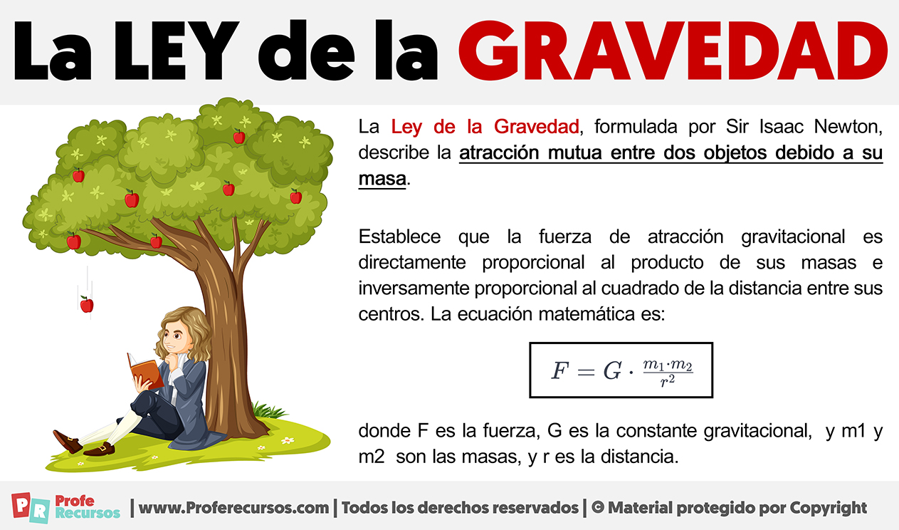 Haití En Crisis: El Sociólogo Danny Shaw Alerta Sobre La Gravedad De La Situación Y La Falta De Apoyo De Trump Haití En Crisis: El Sociólogo Danny Shaw Alerta Sobre La Gravedad De La Situación Y La Falta De Apoyo De Trump