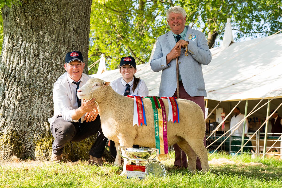 Half-Term Fun At The Royal Bath & West Show: Show Packs & Rides Half-Term Fun At The Royal Bath & West Show: Show Packs & Rides