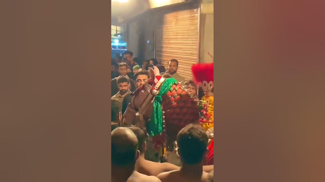 ہالی ووڈ اسٹار ٹام کروز: مداح کے جوتوں پر چڑھنے کا واقعہ اور اس کا ردعمل ہالی ووڈ اسٹار ٹام کروز: مداح کے جوتوں پر چڑھنے کا واقعہ اور اس کا ردعمل