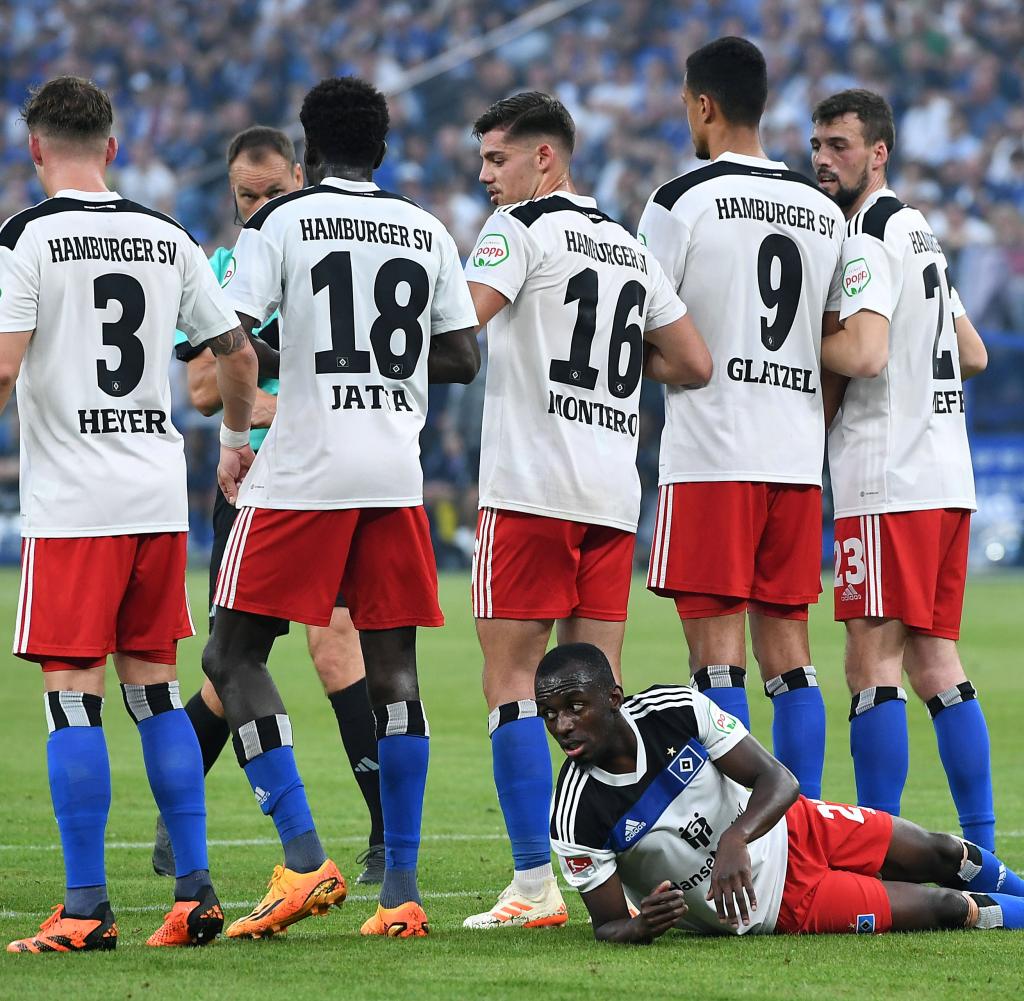 Hamburger SV: Der Weg Zurück In Die Bundesliga -  Chancen Und Herausforderungen