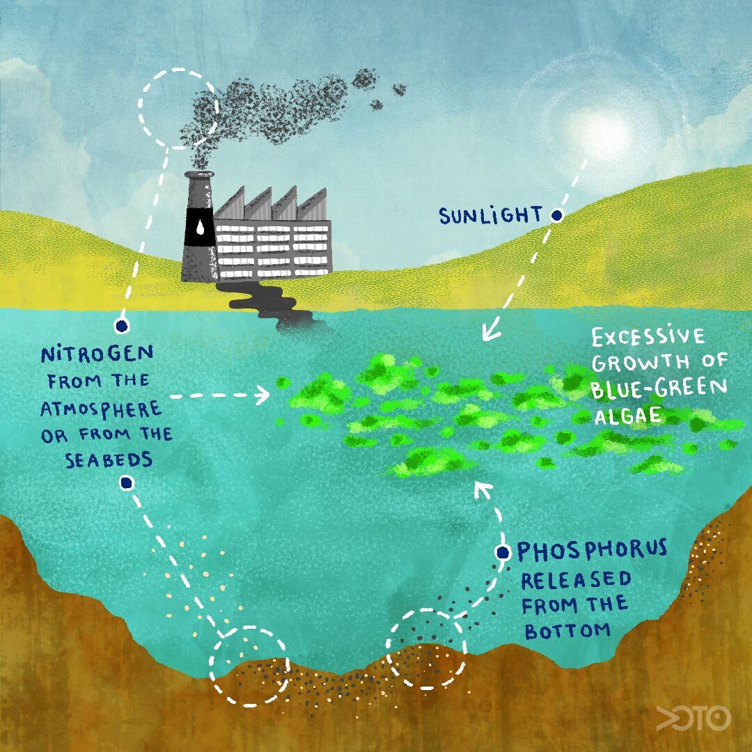 Harmful Algal Blooms: Kodiak's Shellfish Industry Faces Double Threat Harmful Algal Blooms: Kodiak's Shellfish Industry Faces Double Threat