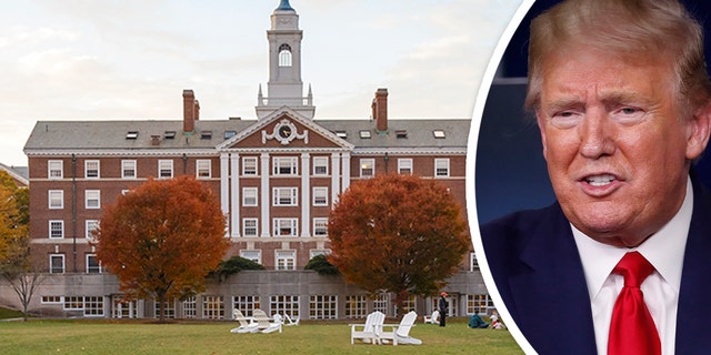 Harvard Faces Funding Cut: Trump's Push For Trade School Investment Harvard Faces Funding Cut: Trump's Push For Trade School Investment