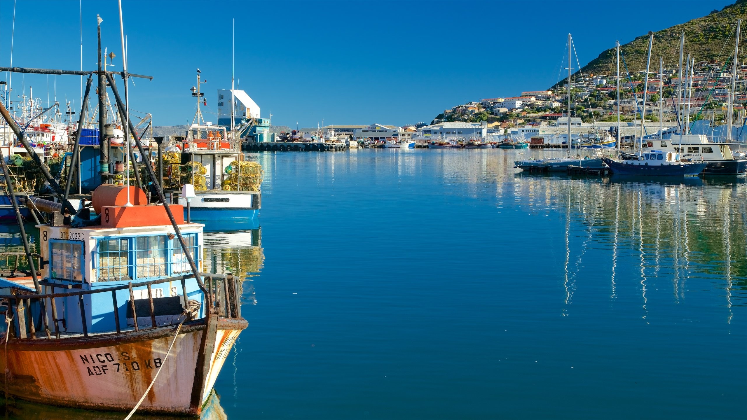 Hout Bay FC's Success: The Klopp Connection Hout Bay FC's Success: The Klopp Connection