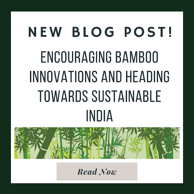 How Gucci Uses Bamboo: Innovation And Tradition In Fashion