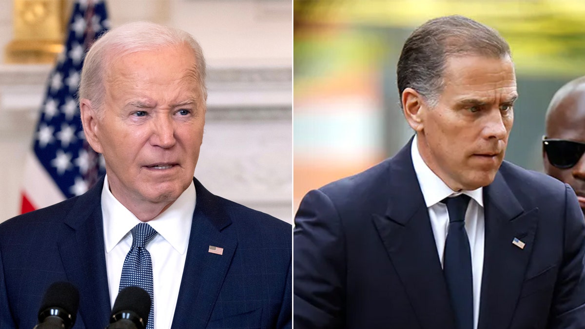 Hunter Biden Recordings: Assessing President Biden's Mental Fitness Hunter Biden Recordings: Assessing President Biden's Mental Fitness