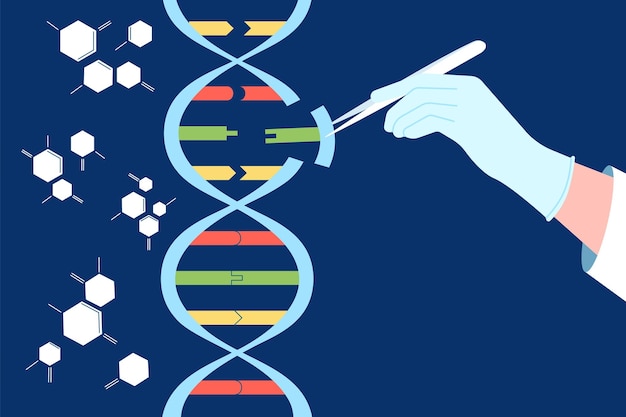 Improving Gene Editing: The Promise Of A New CRISPR Modification Improving Gene Editing: The Promise Of A New CRISPR Modification