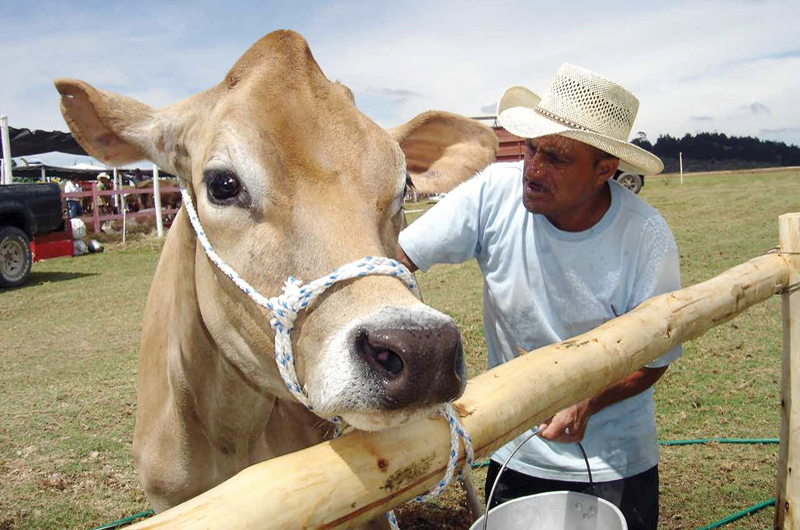 Impulso A Las Exportaciones: El Inusual Regalo De Uruguay A China En El Sector Ganadero Impulso A Las Exportaciones: El Inusual Regalo De Uruguay A China En El Sector Ganadero
