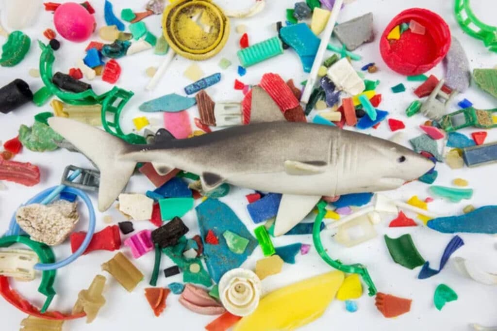 In Quali Tipi Di Acqua Si Trovano Maggiori Quantità Di Microplastiche? In Quali Tipi Di Acqua Si Trovano Maggiori Quantità Di Microplastiche?