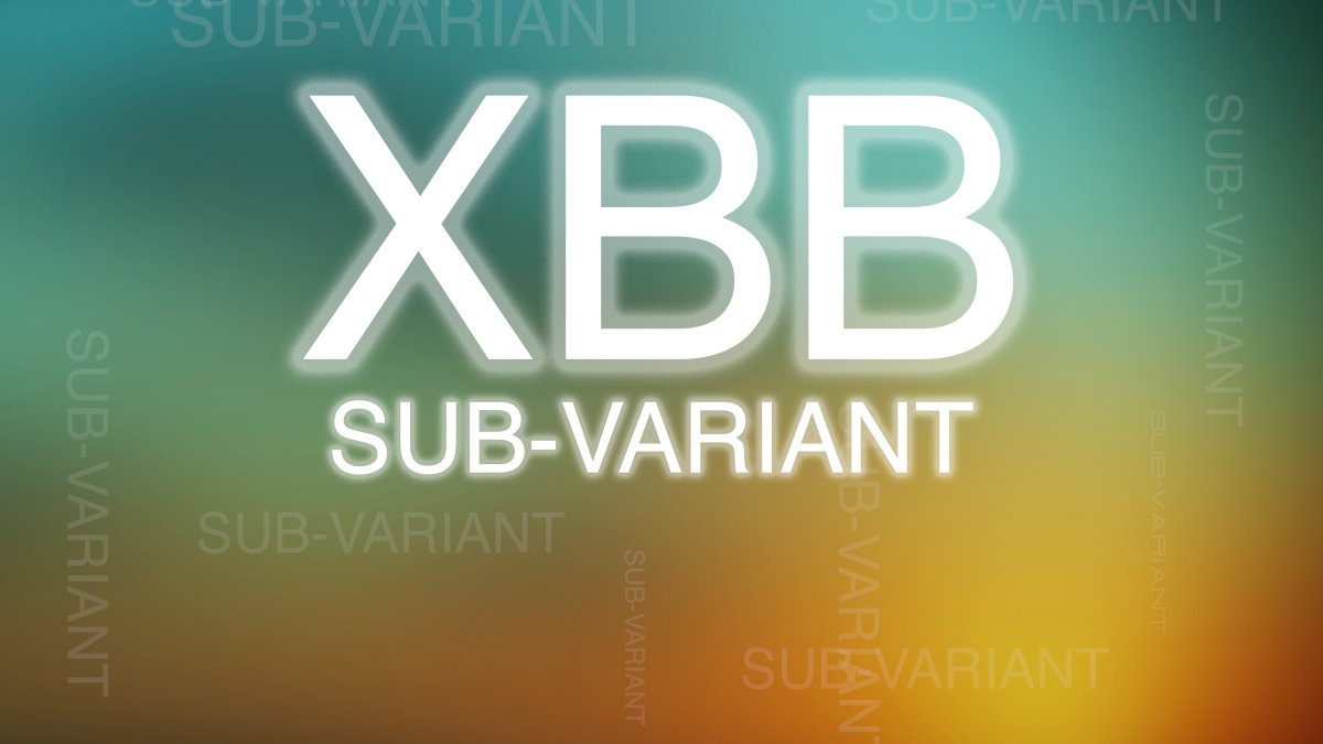 India Covid-19 Cases: A Moderate Increase Amidst XBB.1.16 Variant Spread India Covid-19 Cases: A Moderate Increase Amidst XBB.1.16 Variant Spread