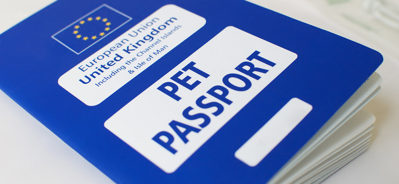 Investigation: How Corporate Targets Affect UK Pet Owners' Costs Investigation: How Corporate Targets Affect UK Pet Owners' Costs
