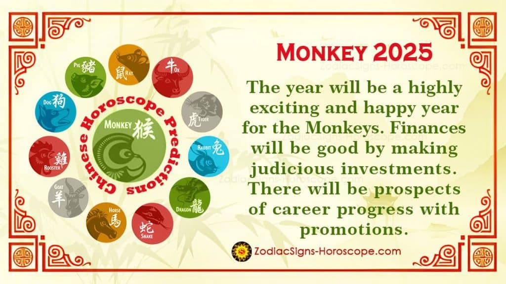 Is 2025 Stephen King's Best Year Yet? A Look At The Monkey Is 2025 Stephen King's Best Year Yet? A Look At The Monkey