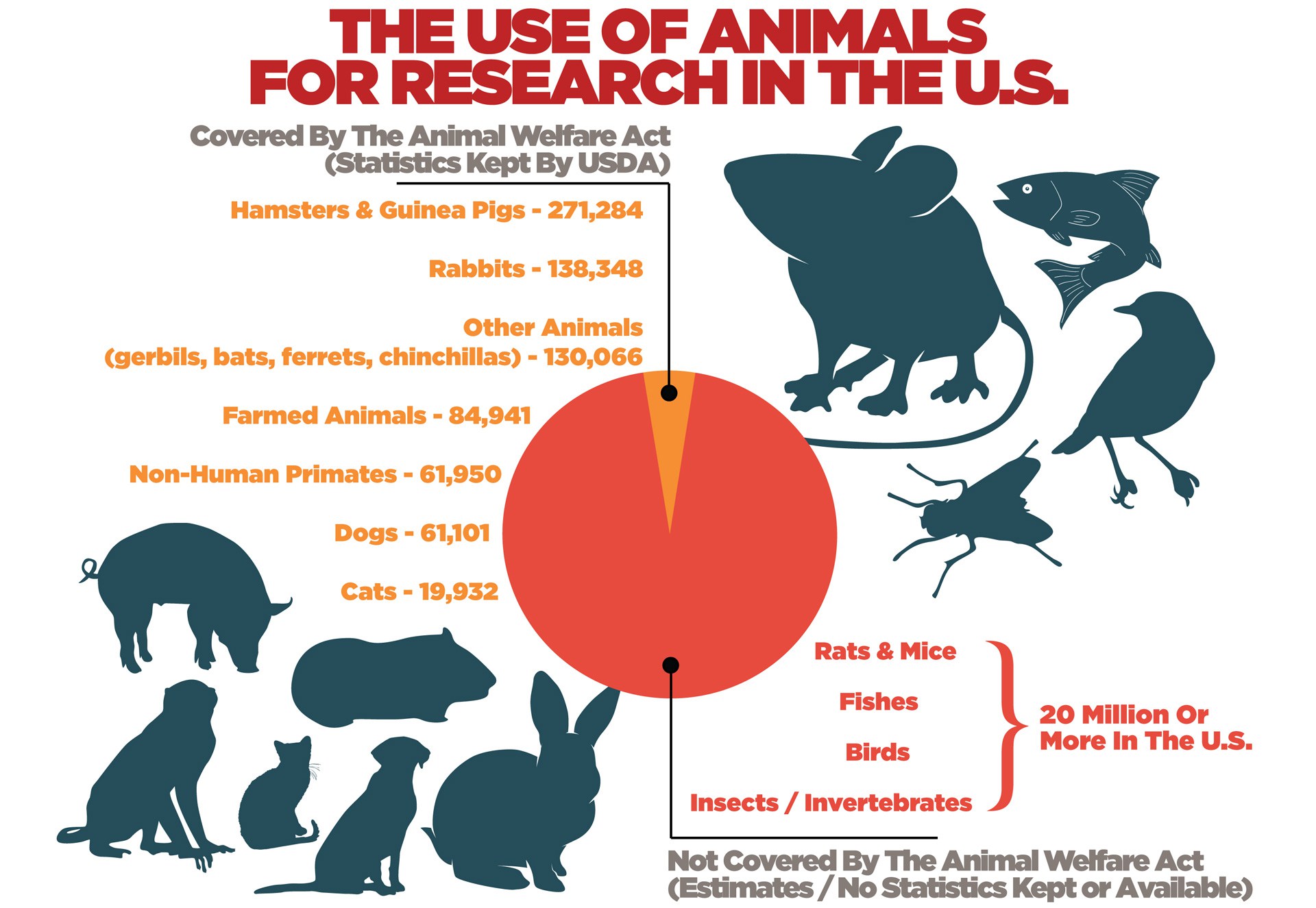 Is US Taxpayer Money Funding Transgender Animal Research? A Comprehensive Look Is US Taxpayer Money Funding Transgender Animal Research? A Comprehensive Look