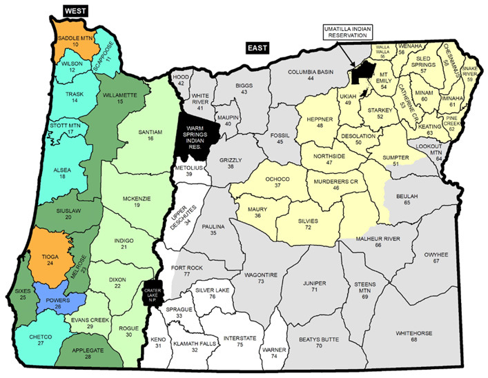 Jackson Elk Hunt Season: Public Concerns Result In Fewer Permits Jackson Elk Hunt Season: Public Concerns Result In Fewer Permits