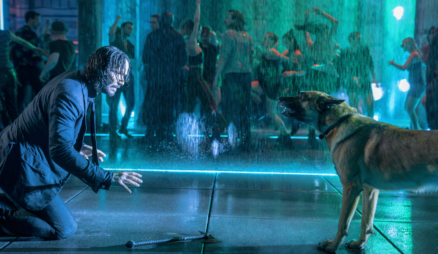 John Wick 5: Is This The End For John Wick? John Wick 5: Is This The End For John Wick?