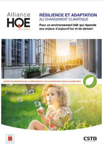 José Aldo: Résilience Et Adaptation Dans La Carrière D'un Champion José Aldo: Résilience Et Adaptation Dans La Carrière D'un Champion