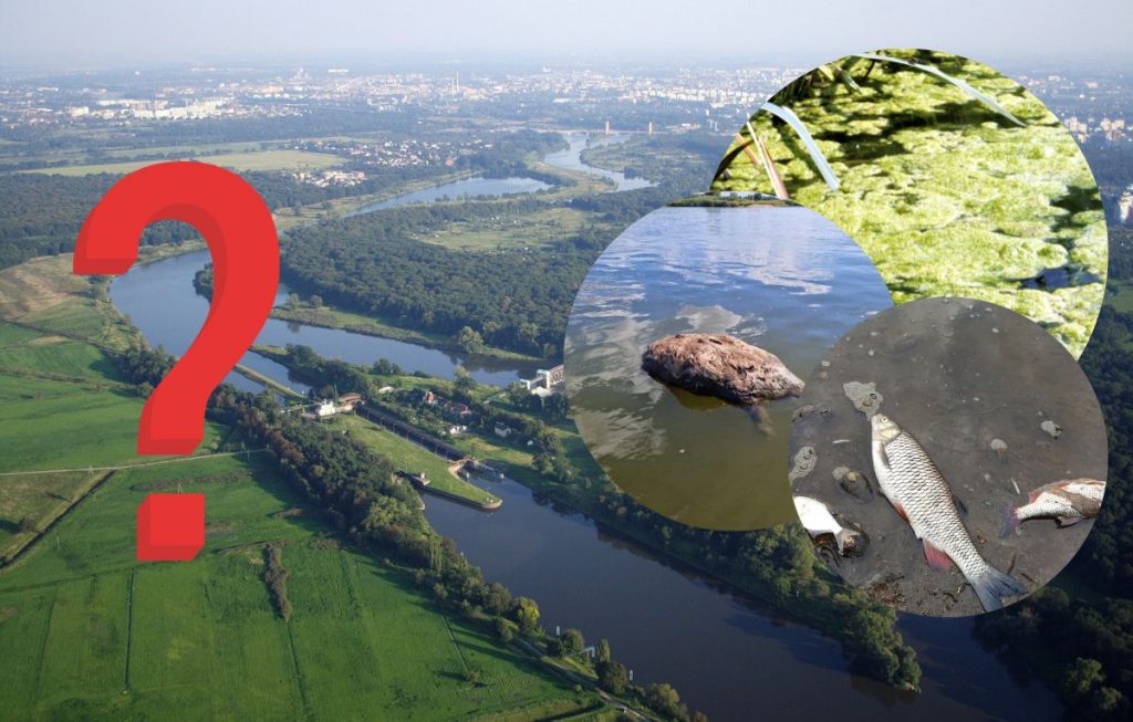 Katastrofa Ekologiczna Na Odrze: Analiza Ryzyka I Zapobieganie