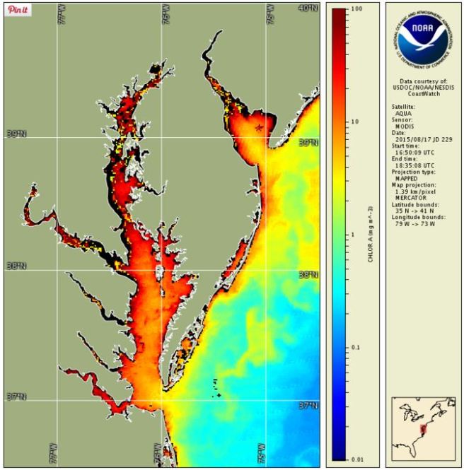 Kodiak Shellfish Harvest Under Threat: Two Harmful Algal Blooms In A Row Kodiak Shellfish Harvest Under Threat: Two Harmful Algal Blooms In A Row