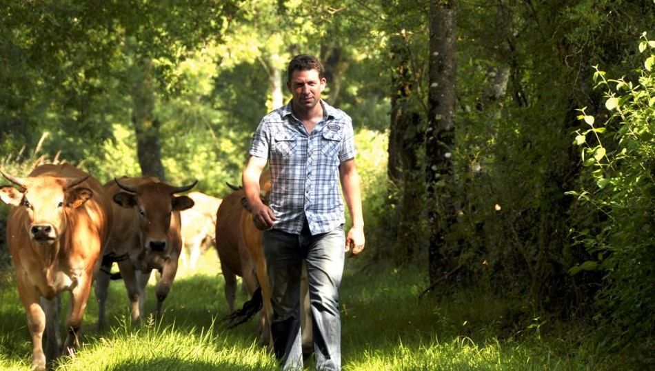 L'évolution De Clisson (près De Moncoutant-sur-Sèvre) : 100 Ans De Diversification L'évolution De Clisson (près De Moncoutant-sur-Sèvre) : 100 Ans De Diversification