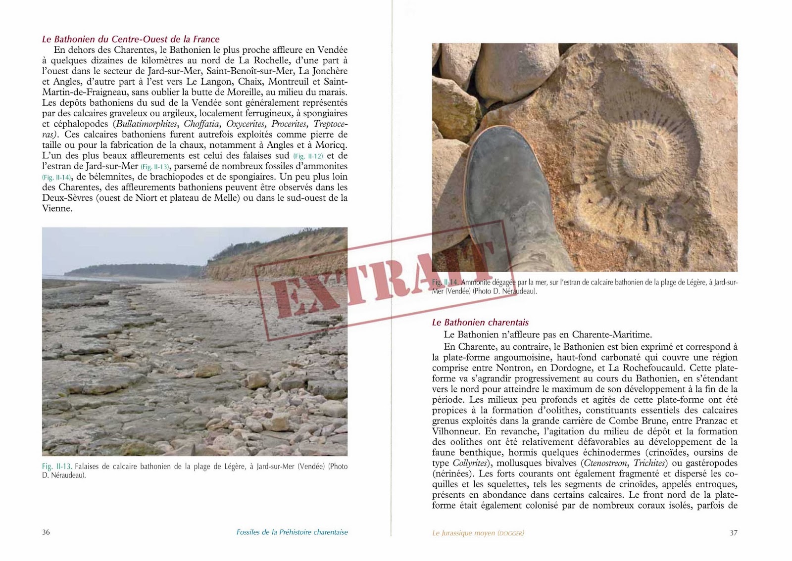 La Charentaise: Histoire D'un Succès À Saint-Brieuc La Charentaise: Histoire D'un Succès À Saint-Brieuc