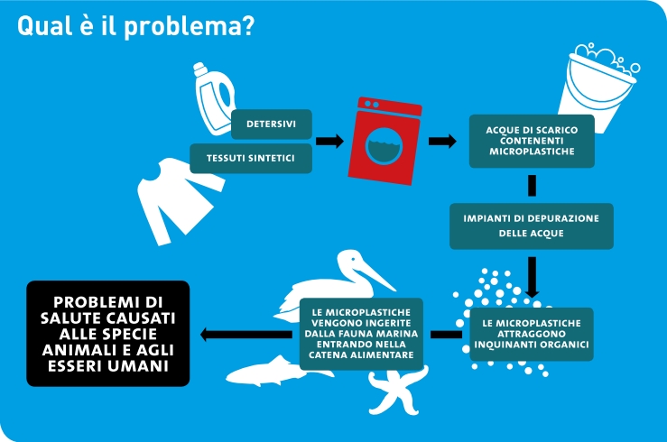 La Presenza Di Microplastiche Nelle Diverse Fonti D'acqua La Presenza Di Microplastiche Nelle Diverse Fonti D'acqua