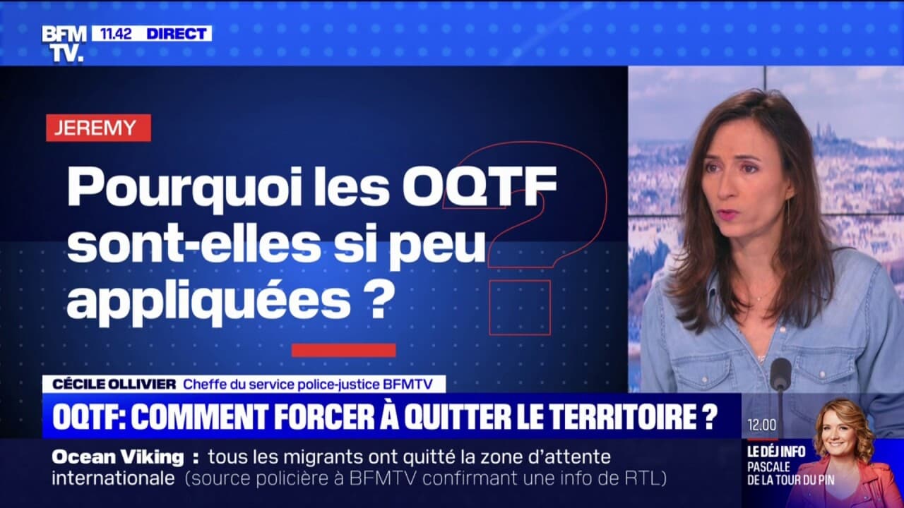 La Proposition Wauquiez Sur Les OQTF : L'insolite Réponse De Saint-Pierre-et-Miquelon La Proposition Wauquiez Sur Les OQTF : L'insolite Réponse De Saint-Pierre-et-Miquelon