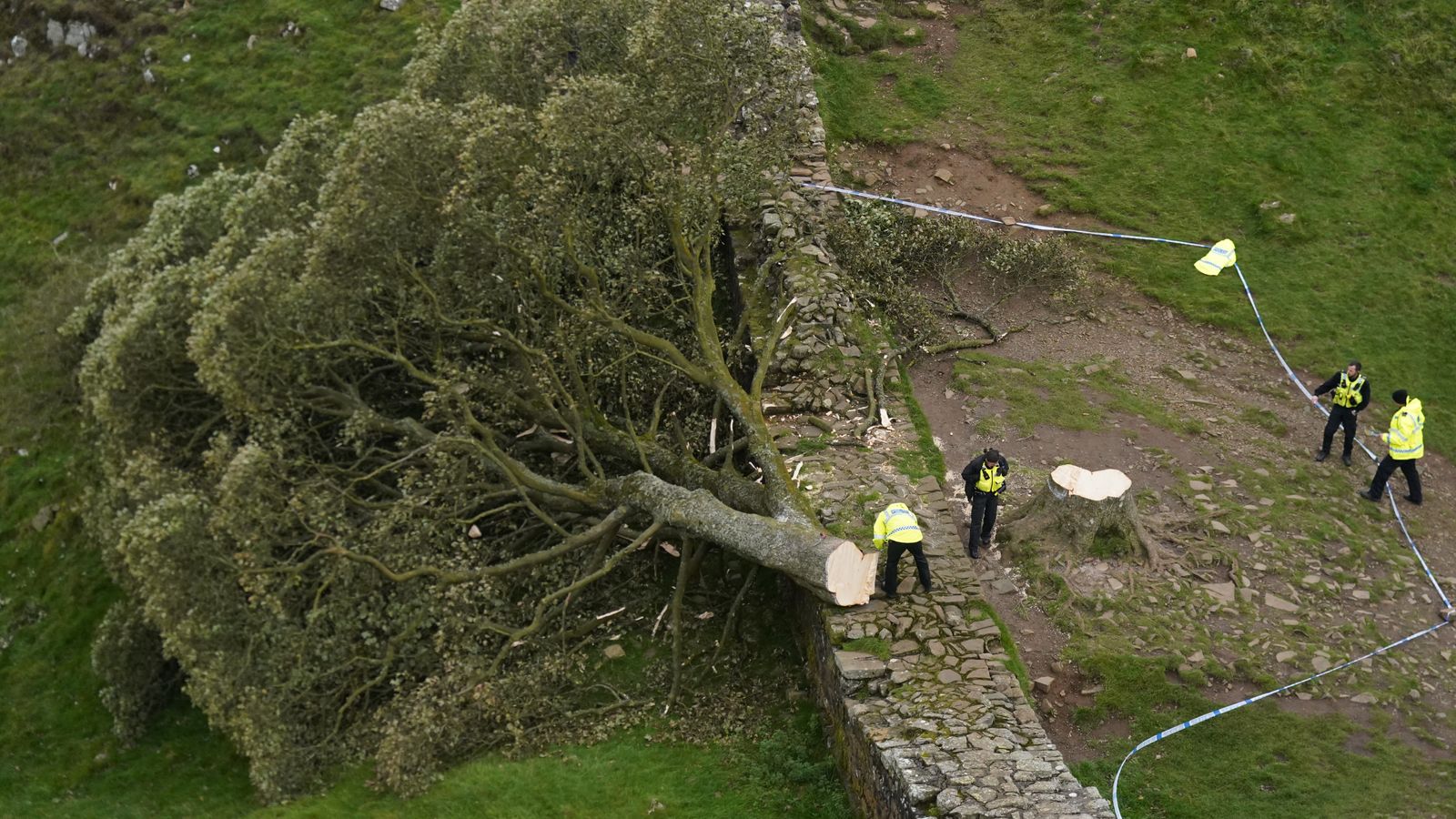 Landmark Sycamore Gap Tree: Conviction Of Two Men Landmark Sycamore Gap Tree: Conviction Of Two Men