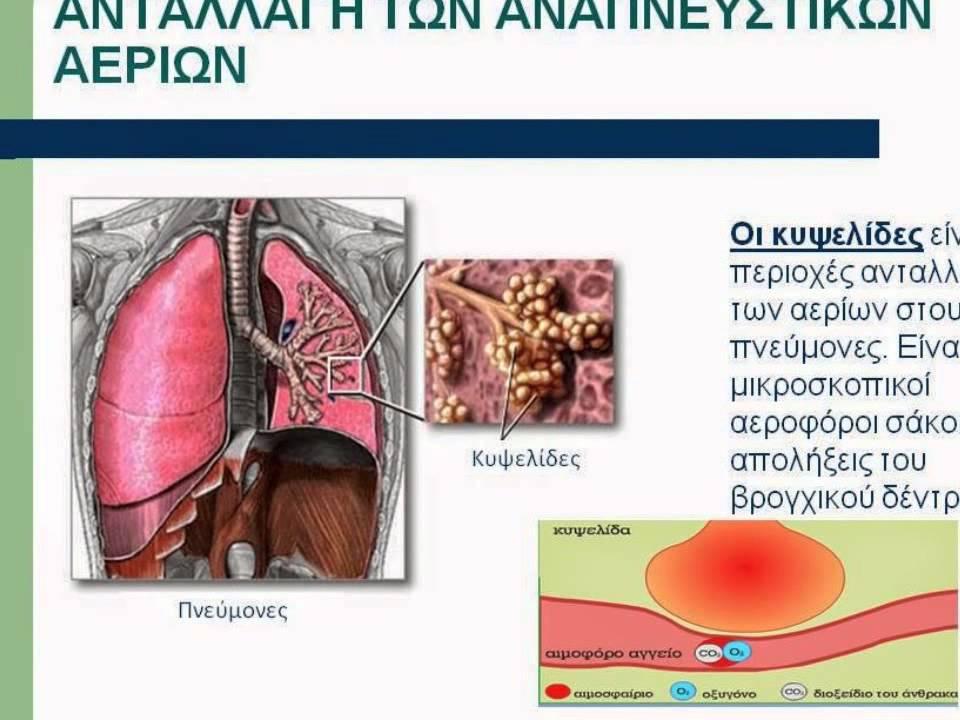 Ληστεία Στη Χαλκιδική: Τι Συνέβη Και Ποια Η Κατάσταση Ληστεία Στη Χαλκιδική: Τι Συνέβη Και Ποια Η Κατάσταση