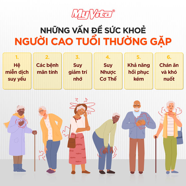 Lợi Ích Và Thời Gian Xông Hơi Lý Tưởng Cho Sức Khỏe Lợi Ích Và Thời Gian Xông Hơi Lý Tưởng Cho Sức Khỏe