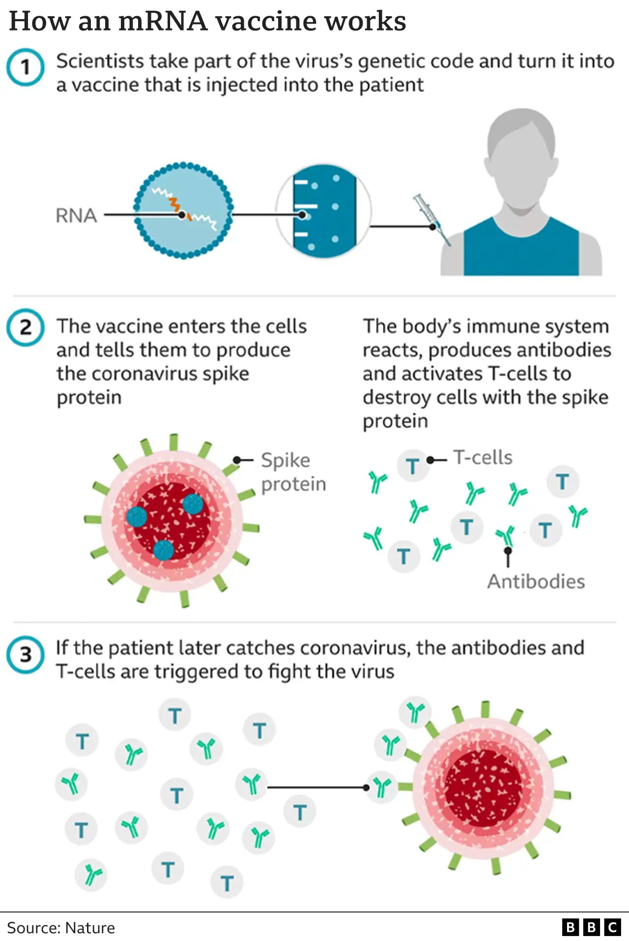 Long COVID Risk Reduction: The Role Of COVID-19 Vaccines Long COVID Risk Reduction: The Role Of COVID-19 Vaccines