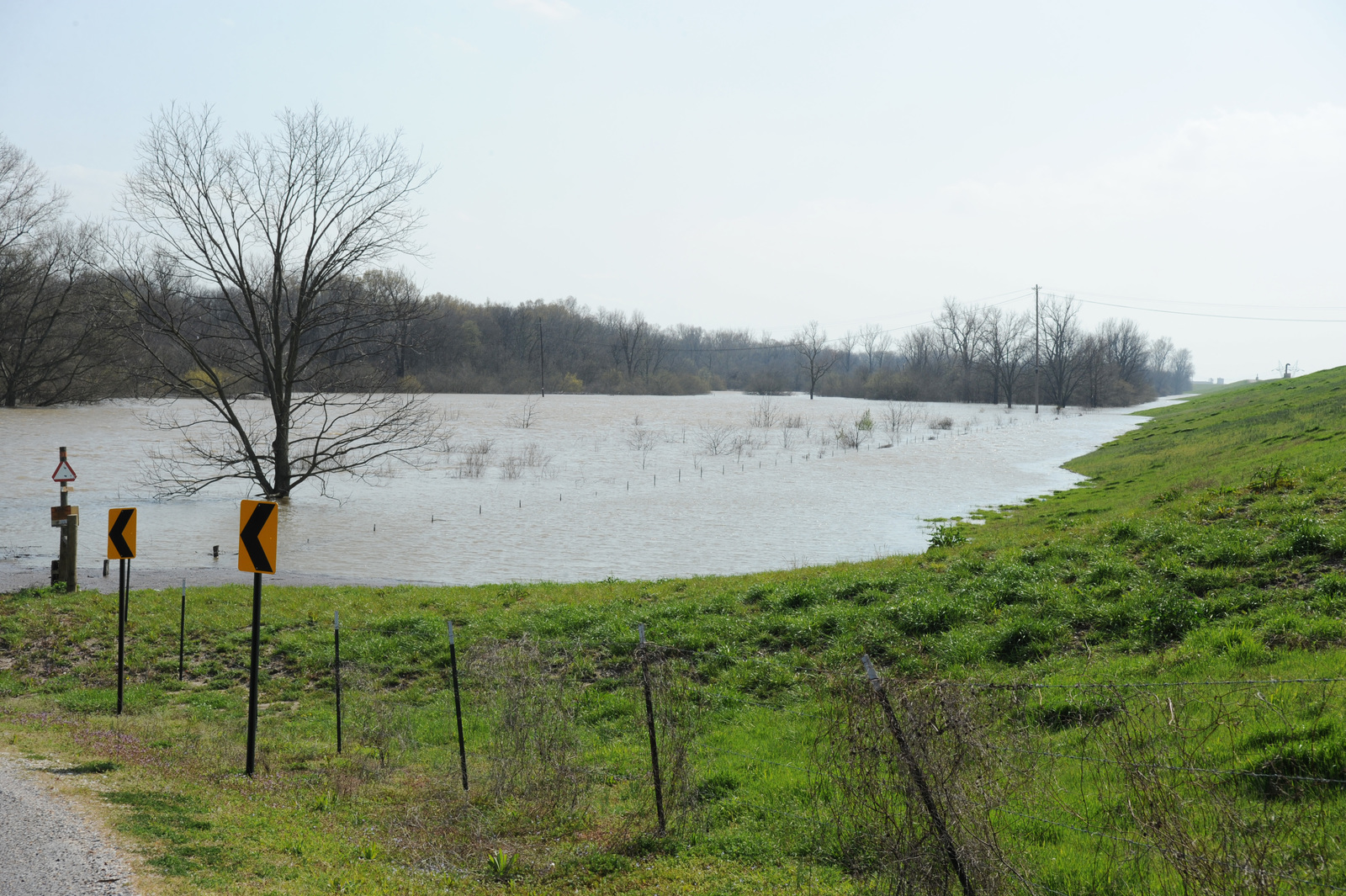 Louisville's Early 2025 Disasters: A Review Of Snow, Tornadoes, And Flooding Louisville's Early 2025 Disasters: A Review Of Snow, Tornadoes, And Flooding