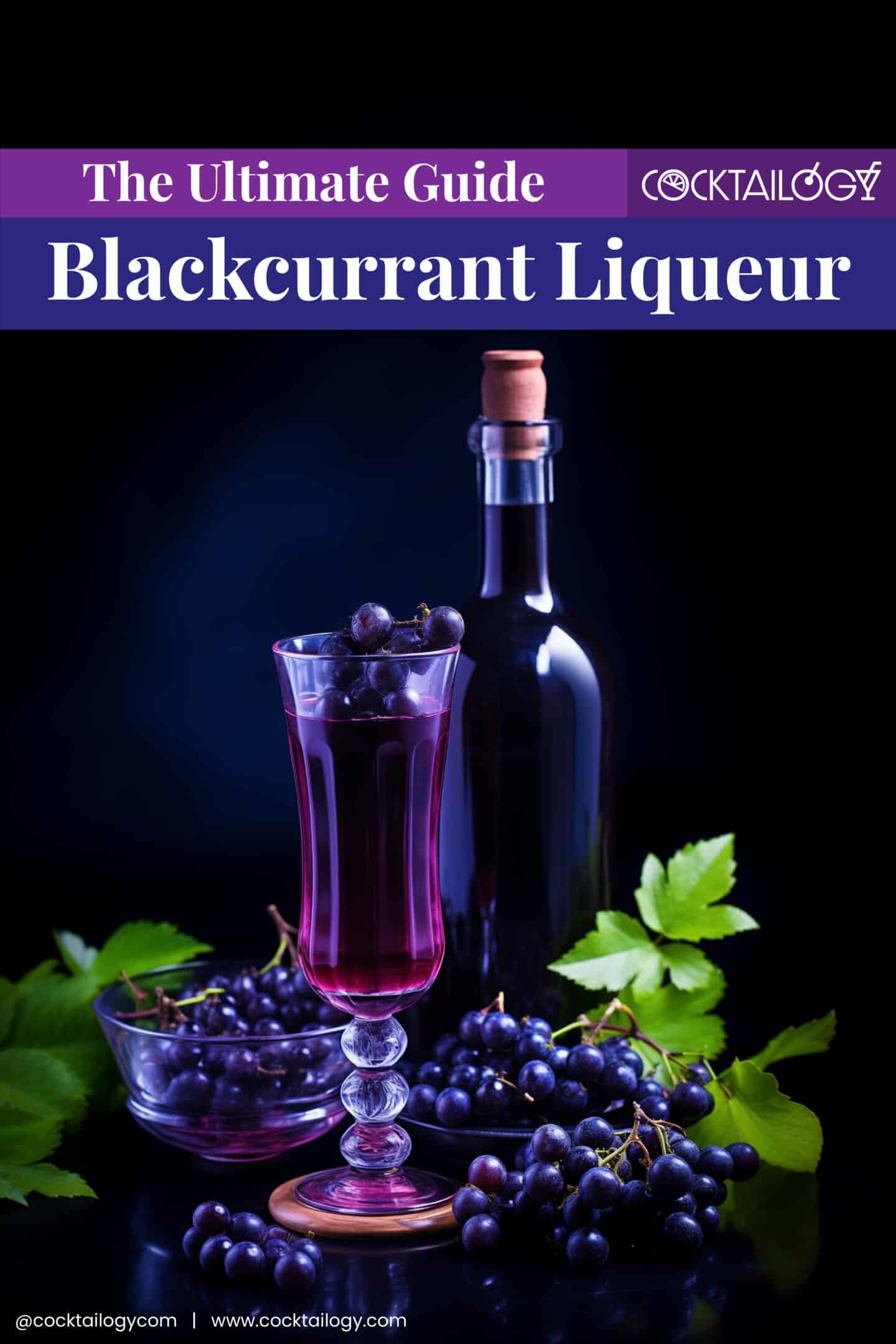 Making Your Own Cassis Blackcurrant Liqueur At Home Making Your Own Cassis Blackcurrant Liqueur At Home
