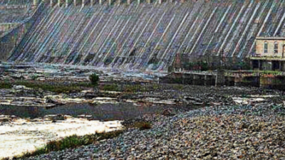 March Rainfall: A Step Towards Recovering From Water Deficit March Rainfall: A Step Towards Recovering From Water Deficit