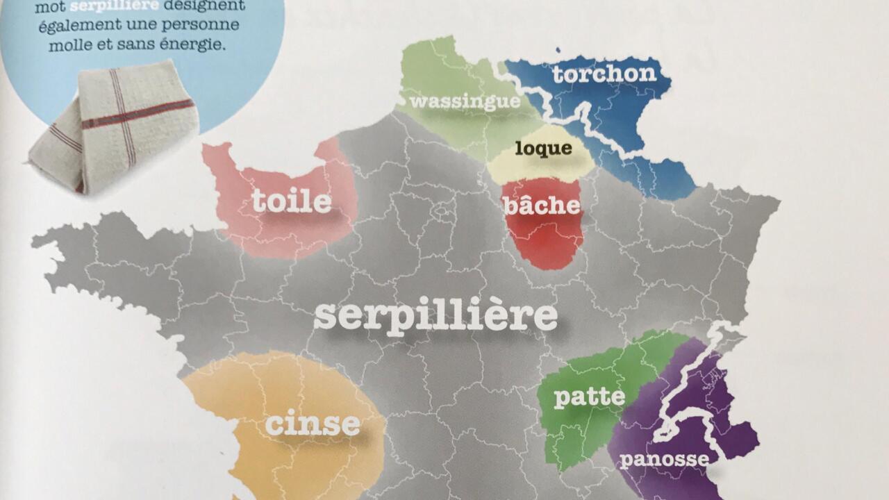 Mathieu Avanzi : Le Français, Une Langue Vivante Au-delà De L'école Mathieu Avanzi : Le Français, Une Langue Vivante Au-delà De L'école