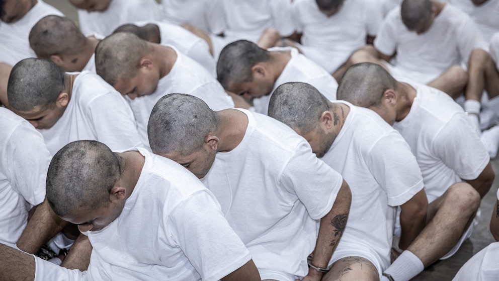 Mia Farrow On Trump: Deportations Of Venezuelan Gang Members Warrant Arrest Mia Farrow On Trump: Deportations Of Venezuelan Gang Members Warrant Arrest